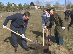 Яблоневые Сады Великой Победы заложены в Тверской области