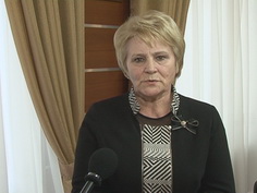 Заседание комитета по государственному устройству и местному самоуправлению от 17.02.2016