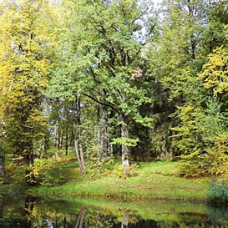 В Твери отметили День работников леса