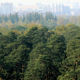 «Зеленый щит» для города