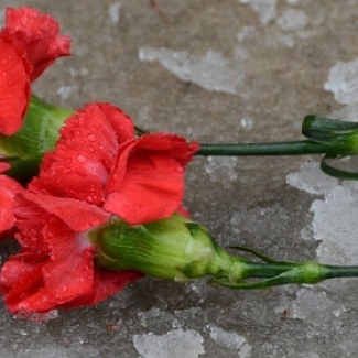 Соболезнование родным, близким, коллегам и соратникам Бориса Немцова