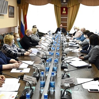 Комитет по социальной политике заслушал доклад Уполномоченного по правам ребенка в Тверской области