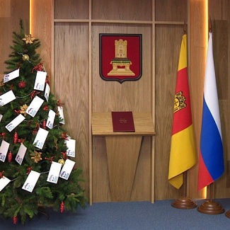 «Ёлка желаний» в Законодательном Собрании