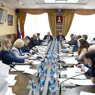 Комитет рассмотрел итоги реализации регионального  закона о предоставлении земельных участков многодетным семьям