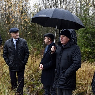 Комитет рассмотрел вопросы сохранения лесов Тверской области